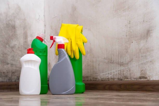 Best Biohazard Mold Removal  in Somerton, AZ